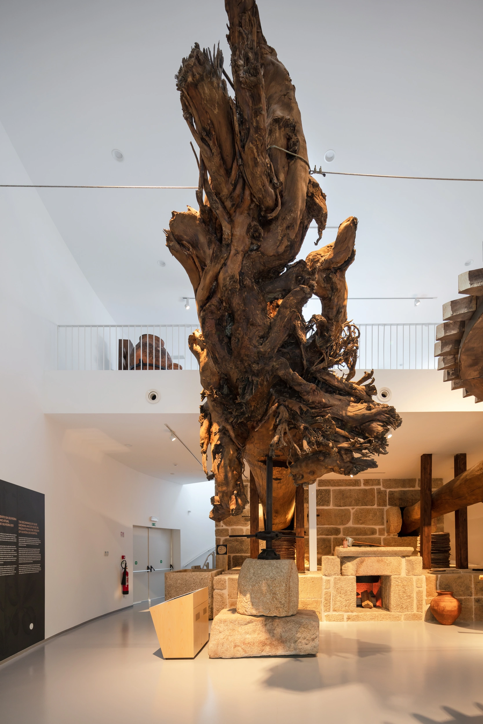 Museu do Azeite