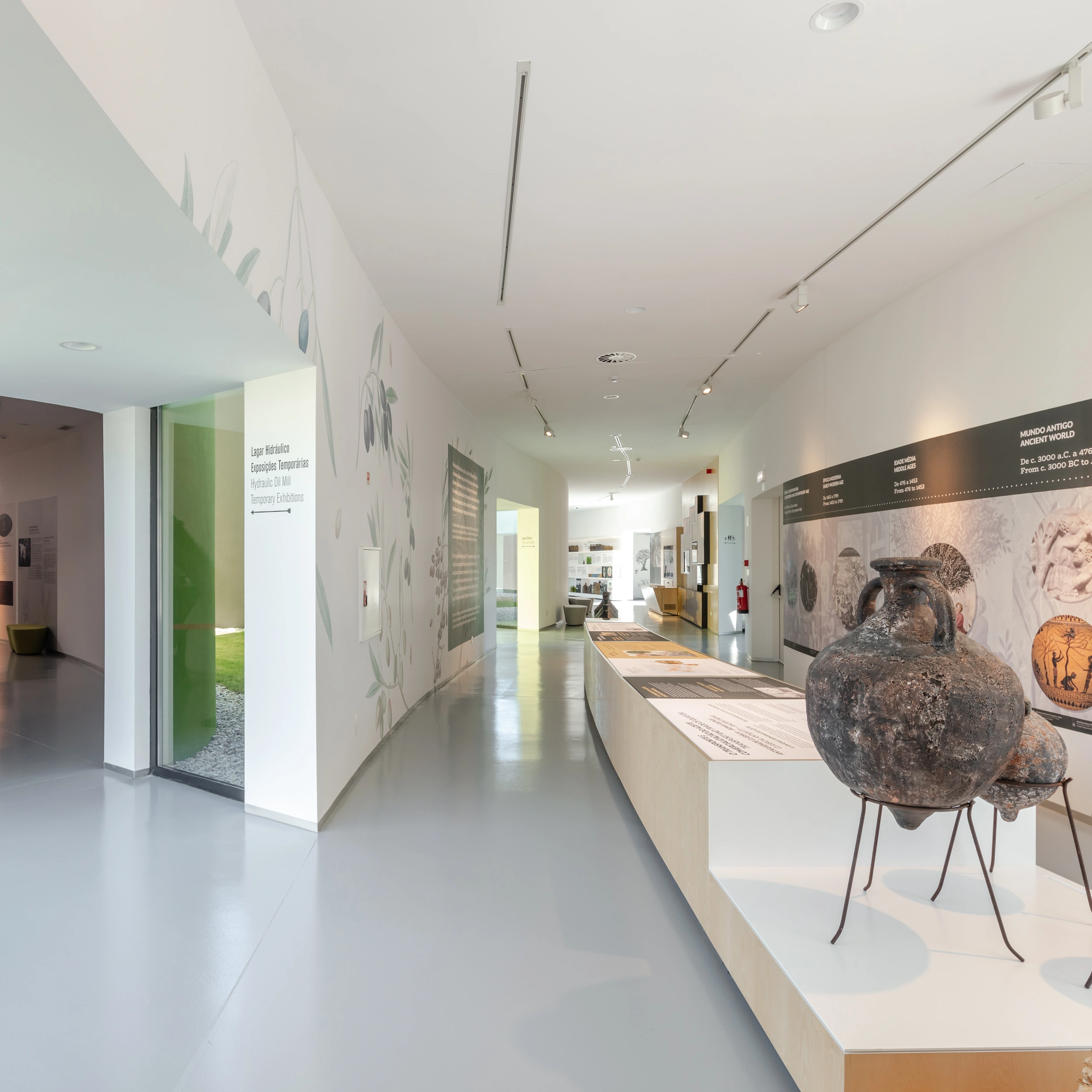 Museu do Azeite